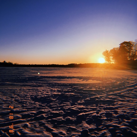 Meet your Posher, Sofia - Picture 1 of 1